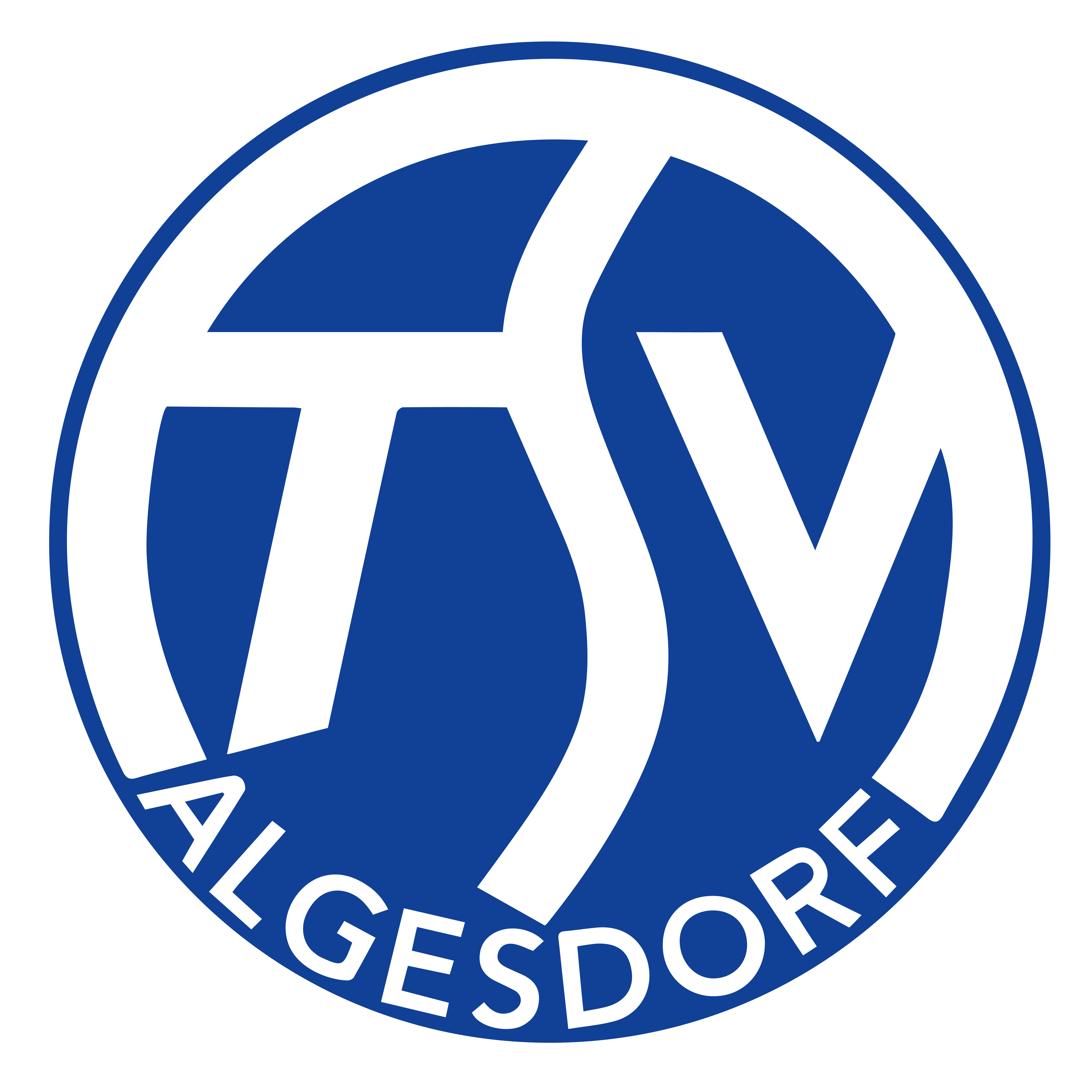 TSV Algesdorf