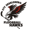 STV Sedelsberg Hawks